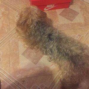 Meet your Posher, Jay